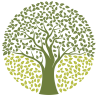 Arbormed Co., Ltd.